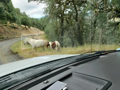 20190520_105752 (Large).jpg